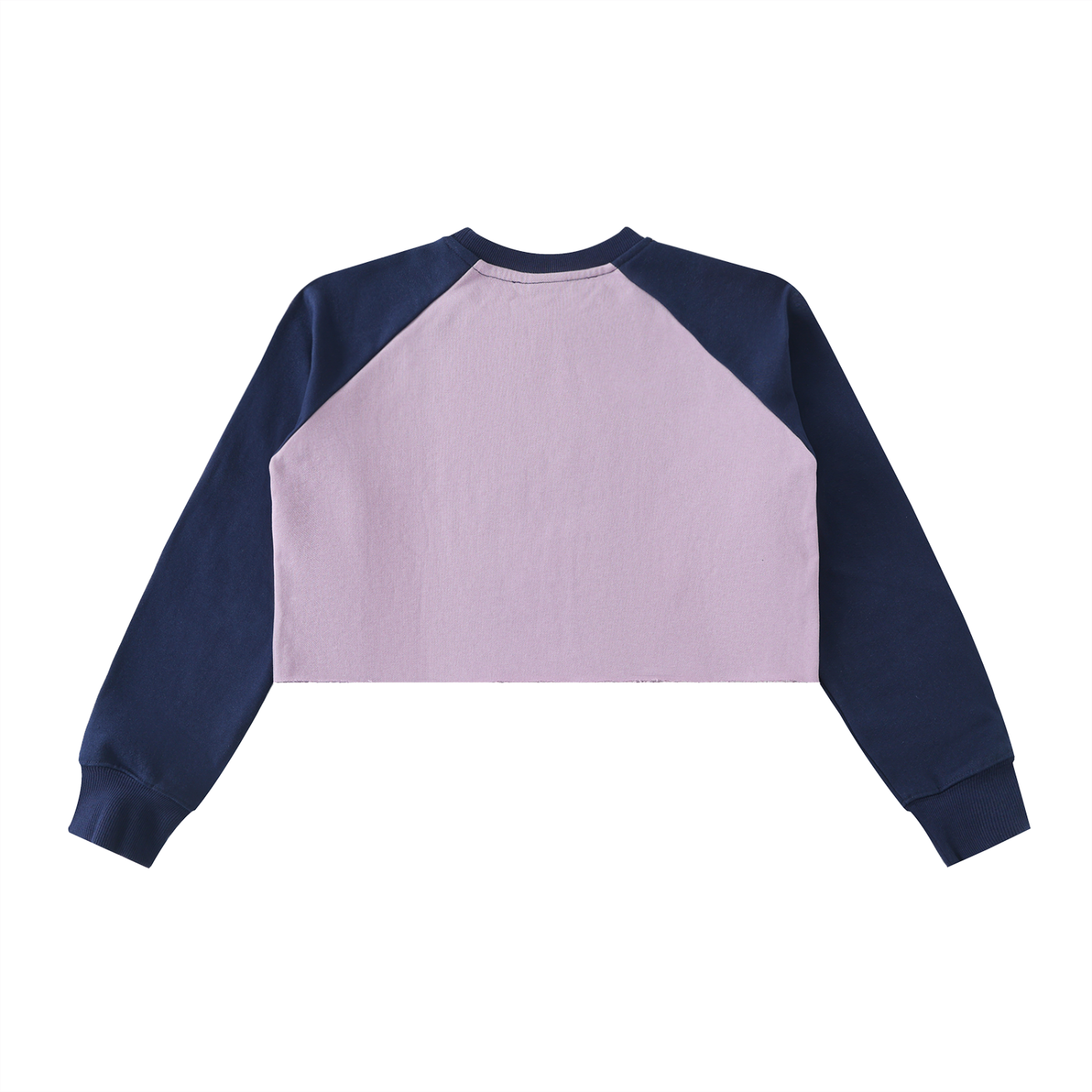 ARVIA Raw-Hem Color-Block Raglan Crop Sweatshirt