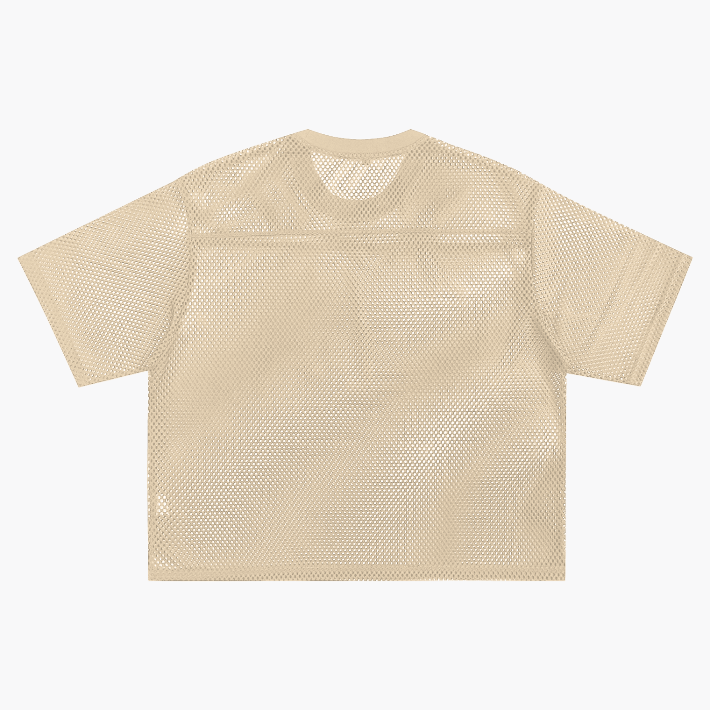 ARVIA See-through Boxy Net T-Shirt