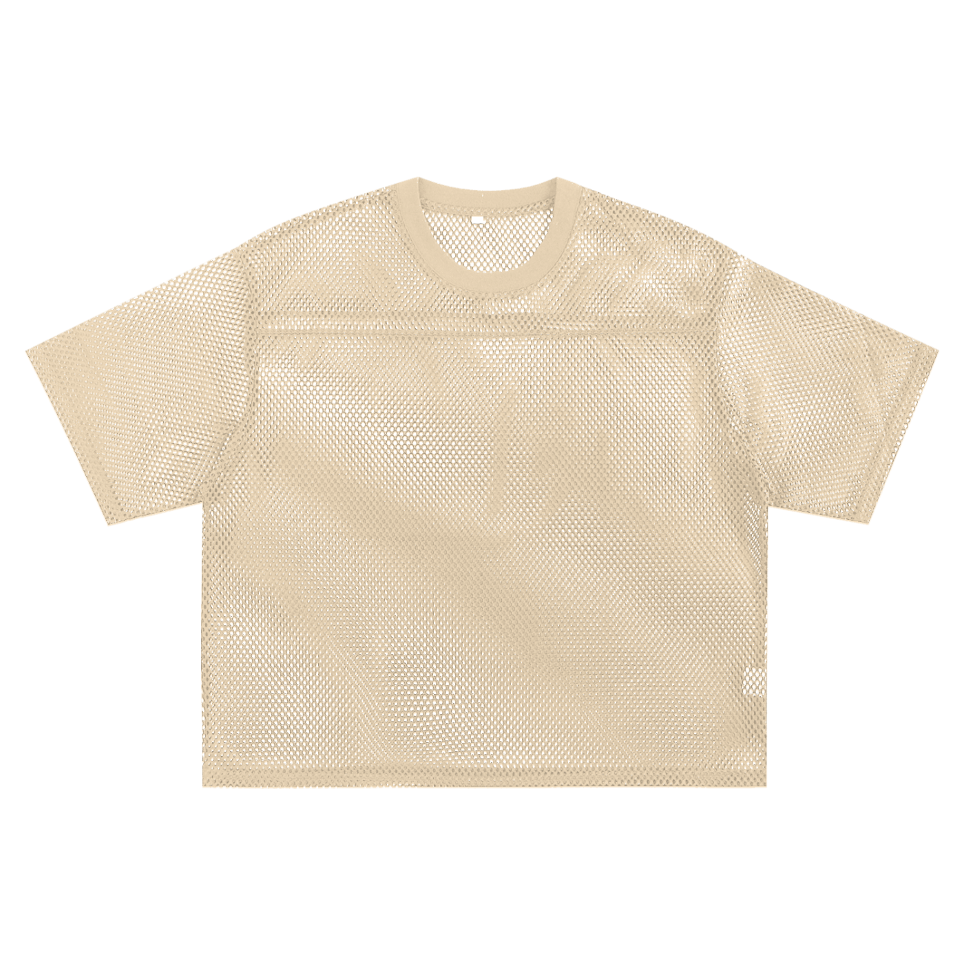 ARVIA See-through Boxy Net T-Shirt