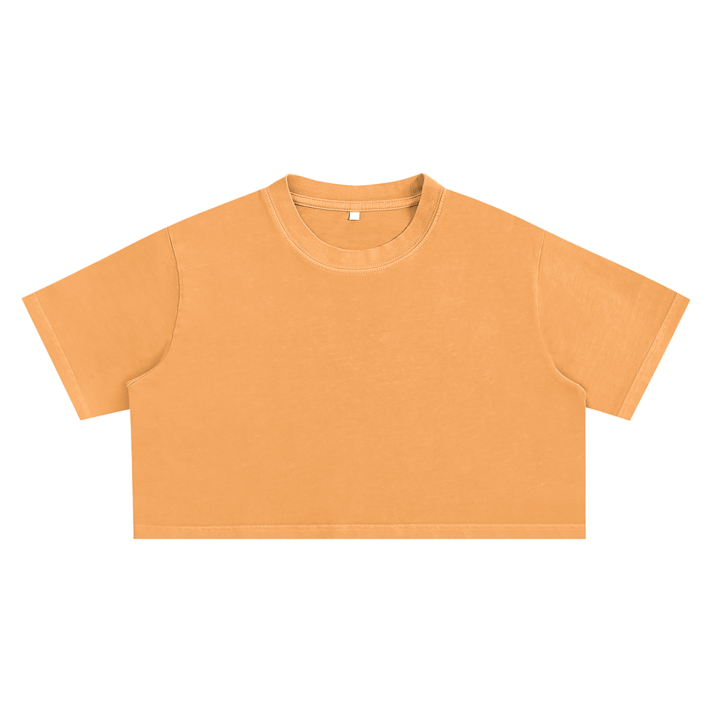 ARVIA Snow Washed Crop Top