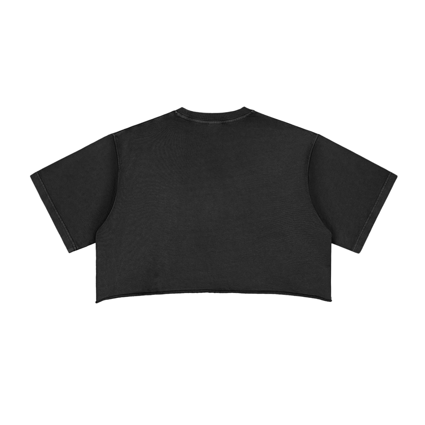 ARVIA Snow Washed Raw Edge Crop Top