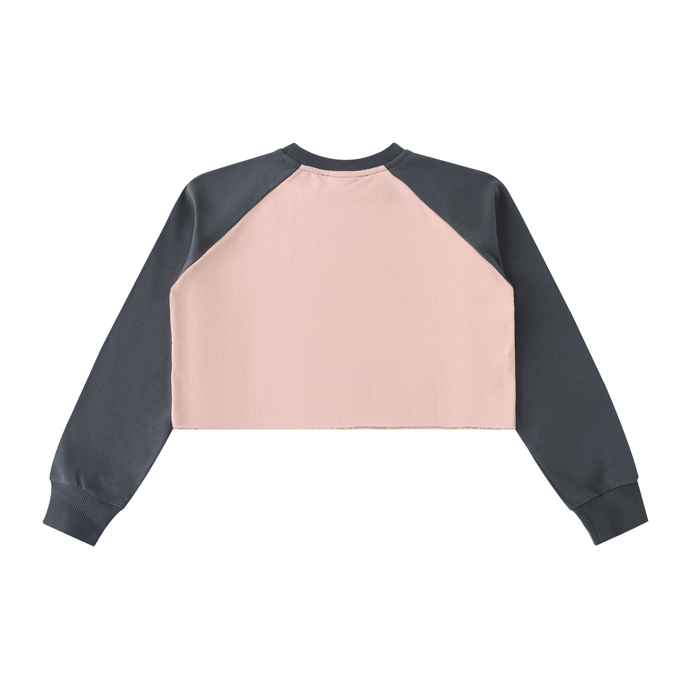 ARVIA Raw-Hem Color-Block Raglan Crop Sweatshirt