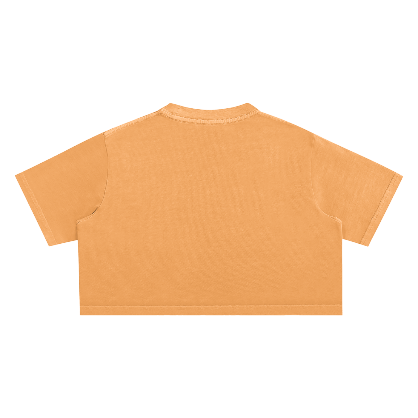 ARVIA Snow Washed Crop Top